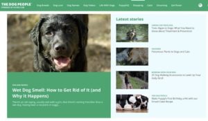 content marketing writing example rover